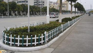 PVC護欄網(wǎng)
