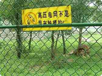 養(yǎng)殖場(chǎng)護(hù)欄網(wǎng)